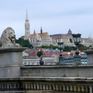 Hungarian language translation